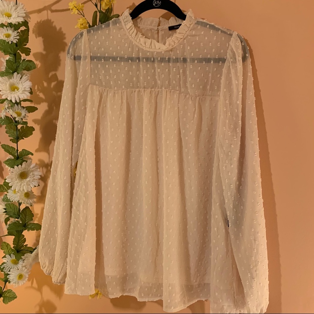 Doe and Rae beautiful sheer blouse